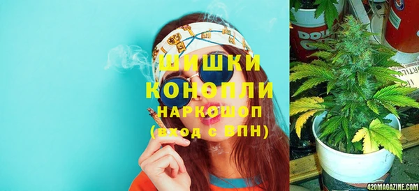 ПСИЛОЦИБИНОВЫЕ ГРИБЫ Новокубанск