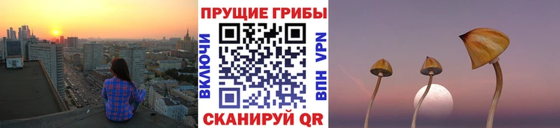Псилоцибиновые грибы ЛСД  hydra маркетплейс  даркнет как зайти  Палласовка 