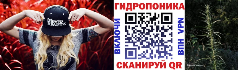 Бошки Шишки индика  Палласовка 